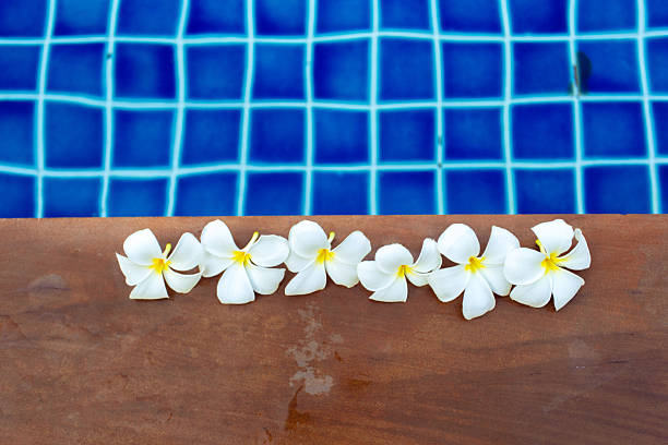 A close-up, macro shot capturing the fine details of a swimming pool scene—sparkling water, textured surfaces, and reflections of light—bringing summer vibes to life.