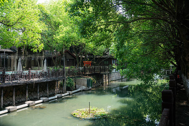 A scenic river with clear water is surrounded by lush green trees, featuring cozy seating areas for relaxation.