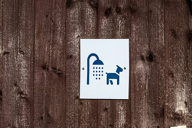 istock Dog wash station sign on rustic wooden wall. 2250924113