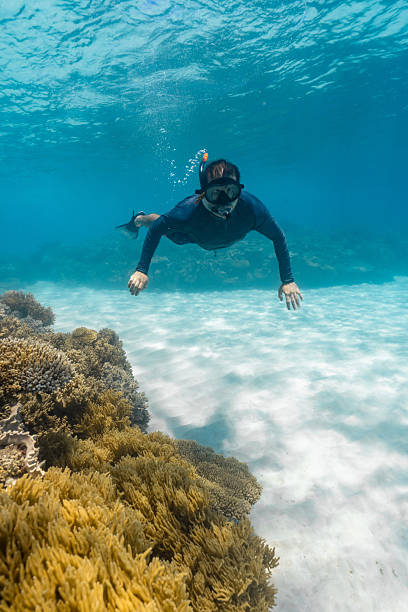 istock Man snorkeling over vibrant coral reef in clear ocean 2250926519