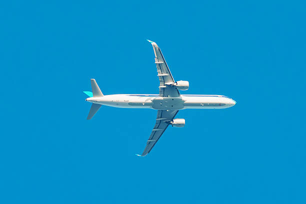 A passenger plane flying in the air, shot from below.