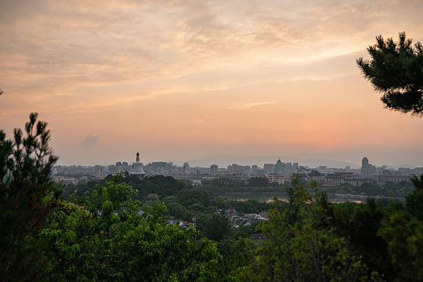 istock Sunset view of cityscape with trees in foreground 2250928310