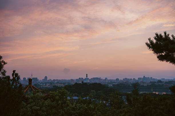 A beautiful sunset paints the sky over a city with trees framing the foreground, creating a serene urban landscape.