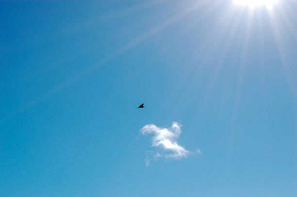 A bright blue sky with sun rays, a small cloud, and a bird flying under the sun.