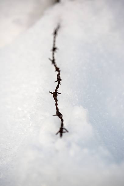 A close-up shot of a parking sign obscured by fresh snow, standing beside a quiet road in a dense, peaceful winter forest setting with towering trees.