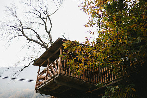 istock wooden gazebo over the river 2250935258
