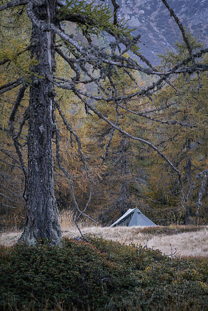 istock Tent in the Swiss Alps during autumn. 2250936850