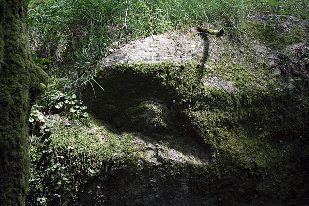Rock and moss form the shape of an eye in a forest near Portomarin Lugo