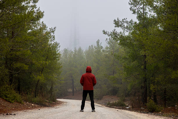 A lonely man in a foggy forest