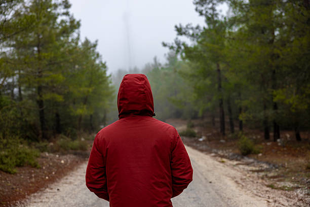 A lonely man in a foggy forest