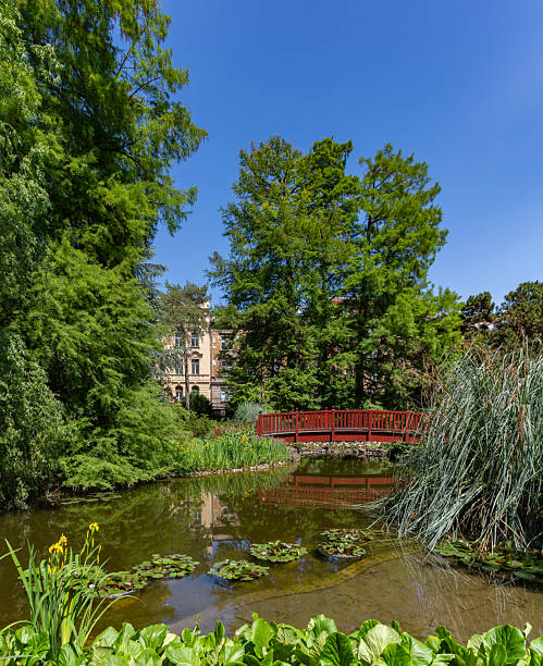 istock Botanical Garden of Zagreb 2250959618