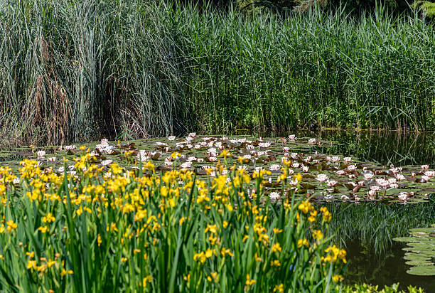 A picture of the Botanical Garden of Zagreb.