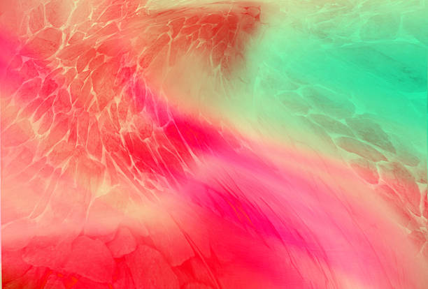 Modern abstract red blue flowing shapes  background featuring soft grain texture, wavy shapes, and a smooth colorful tone. Ideal for banners, posters, wallpapers, and creative designs.