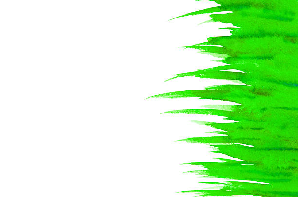 istock Green brush stroke isolated on background 2250972850