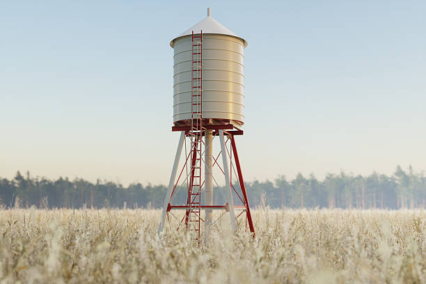 Lighthouse among reeds in Newport Wetlands
