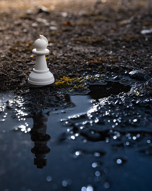 A chess piece on a puddle with the reflection of the chess king.