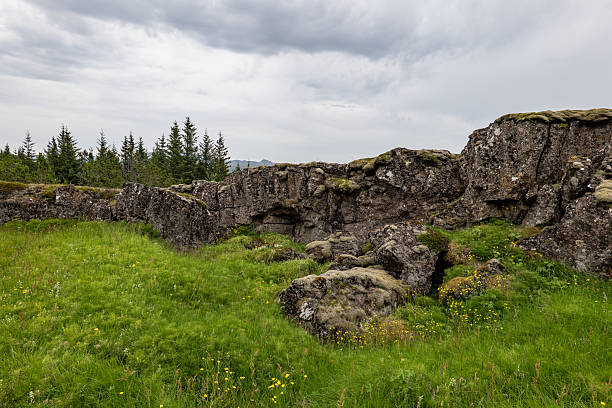 istock rock formations and grass field in Iceland 2250977914
