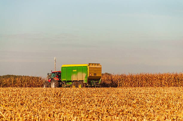 Herzele, Belgium - October 16, 2016. Tele-photo showing a farm tractor working on harvesting corn in a field in east-flanders.