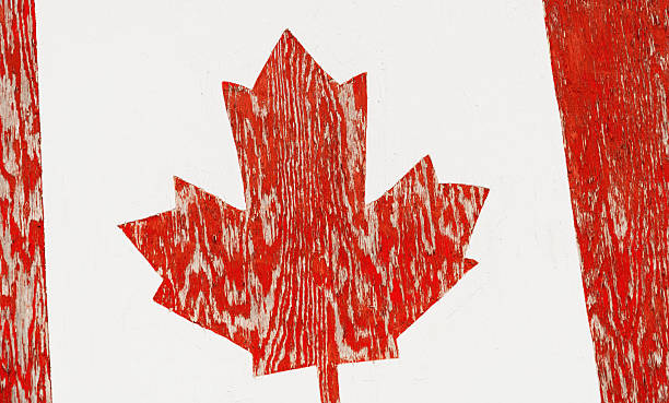 istock Canadian Flag Mural 2250996764