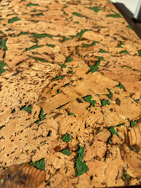 Cork composite with green infill fragments in sunlight