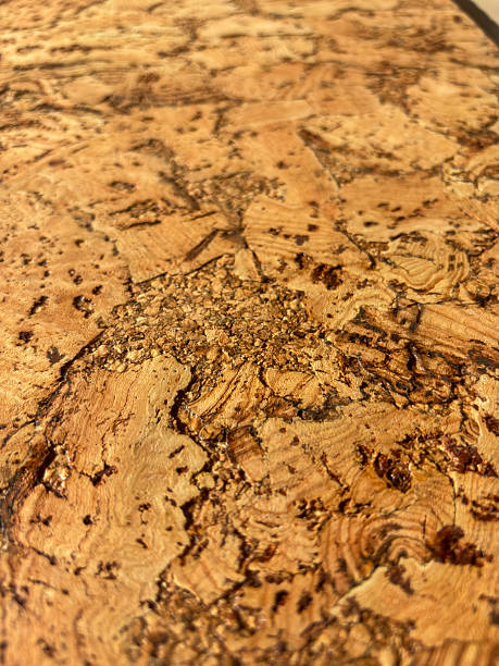istock Cork veneer with clustered burl and fine pores 2250997622