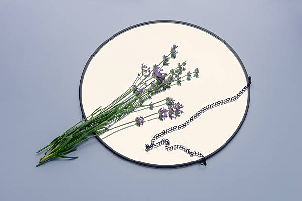 istock lavender sprig on round mirror minimal composition 2250999649