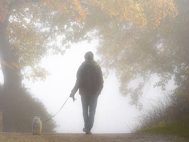 Umbria, Italy:Walking the dog in the fog
