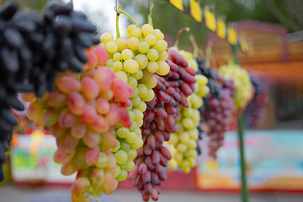 Colorful fresh grapes hanging for sale at market stall