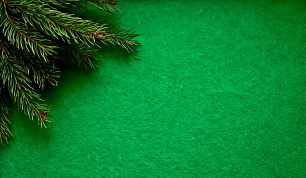 Green pine branches on a solid green background. Christmas green for the winter holidays.Christmas tree decoration on a green background