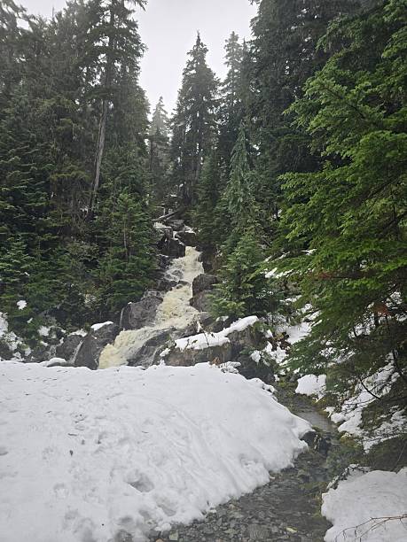 istock Winter Cascade: A Hidden Waterfall in the Snowy Forest 2251012771