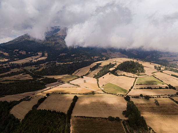 Agricultural landscape from above.