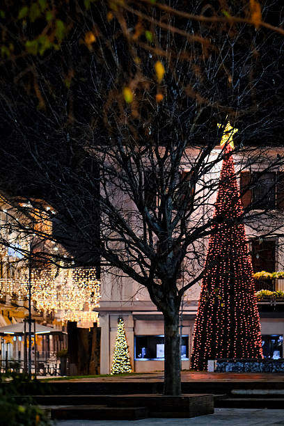 istock Urban square with illuminated Christmas trees and festive lights at night 2251021914