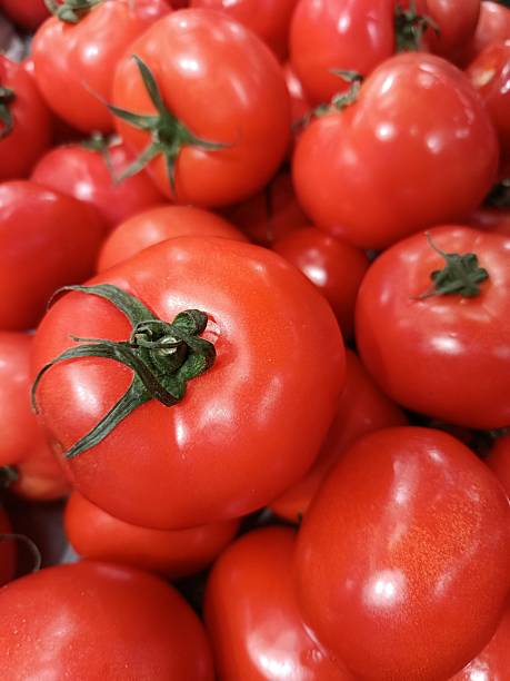 Fresh bright red tomatoes with green stems, abundant and ripe, displaying natural organic beauty, perfect for healthy eating, cooking, and supermarket displays