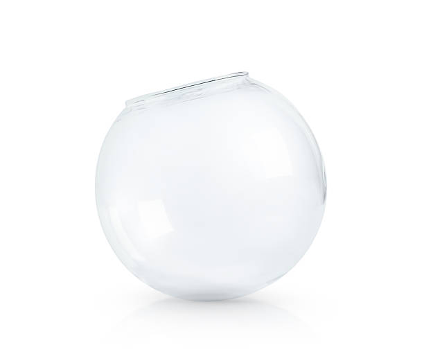 istock empty transparent aquarium without fish is highlighted on a white background 2251032313