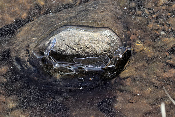 istock Rock Covered In Floating Ice, Partially Submerged In Icy Water. 2251032741