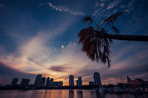 City view at night with dark blue sky in Sarasota Florida