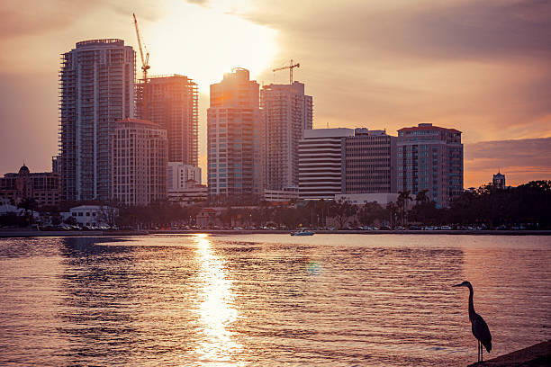 Sunset skyline with great egret silhouette. St Petersburg. Florida, USA