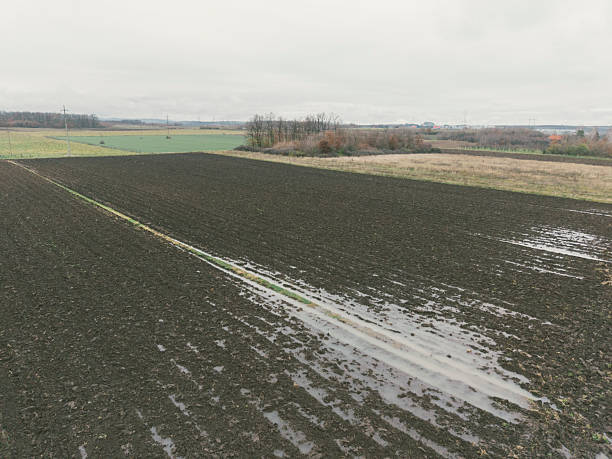 istock Wet agricultural fields after heavy rainfall 2251038854
