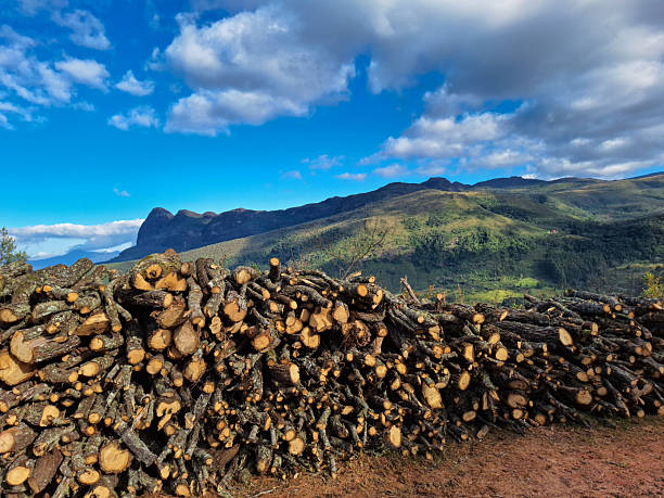 A large pile of freshly cut firewood stacked in the foreground, set against a stunning backdrop of green mountains and a bright blue sky with scattered clouds. The image captures the contrast between natural resources and the beauty of the wilderness, evoking themes of sustainability, rural life, and outdoor living. Perfect for concepts related to forestry, energy, nature, and scenic landscapes.