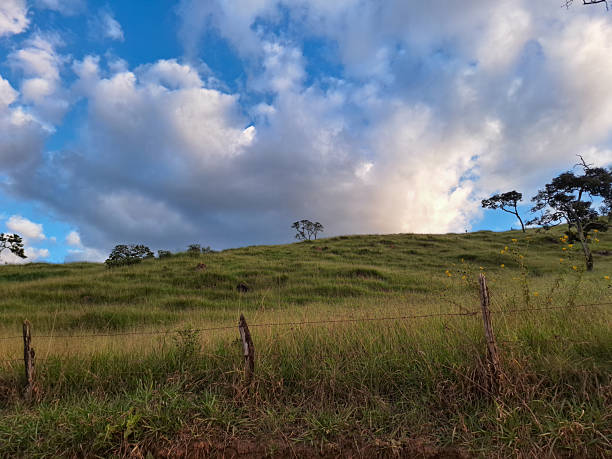 A tranquil rural landscape featuring a grassy hill dotted with small trees under a partly cloudy sky. The foreground shows a rustic wooden fence, adding a touch of simplicity and charm to the scene. This image conveys themes of nature, countryside living, open spaces, and peaceful outdoor environments, perfect for projects related to agriculture, rural tourism, and natural beauty.