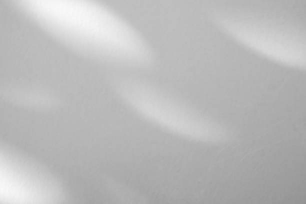 istock Abstract natural tree branch leaves shadow on white wall background 2251058513