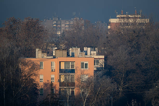 Distant view of a peach-colored residential building surrounded by bare, frost-covered trees in soft winter light. Additional apartment blocks fade into the hazy background, creating depth and an atmospheric urban scene. The muted tones and gentle fog convey a quiet, cold morning mood.