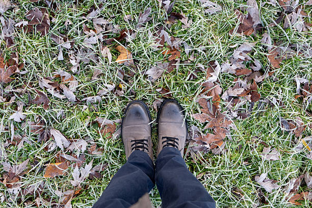 Top-down view of a pair of brown shoes standing on frost-covered grass scattered with fallen autumn leaves. The icy textures on the blades and foliage create a crisp seasonal atmosphere. The scene conveys a quiet moment outdoors during a cold morning.