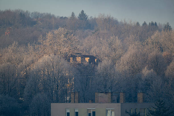 Distant view of a frosted hillside with bare winter trees surrounding partially visible houses. Soft morning light highlights the icy branches, creating a serene and atmospheric seasonal scene. The muted tones and gentle fog add depth to the quiet residential landscape.