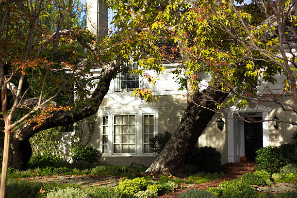 Los Angeles, CA - November 16, 2025: A white house with a beautiful front yard in Beverly Hills.