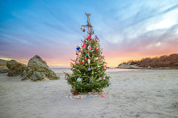 istock New England Beach Christmas Tree 2251063909