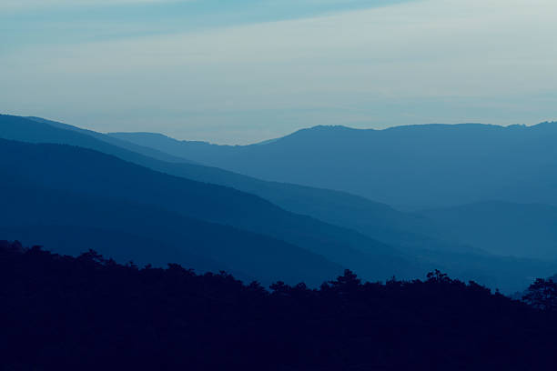 Wonderful morning in the blue mountains