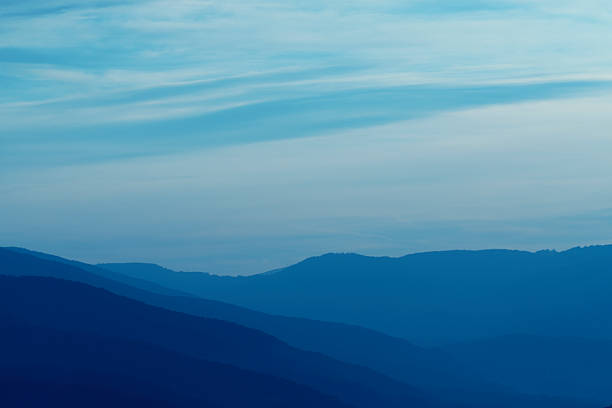 Wonderful morning in the blue mountains