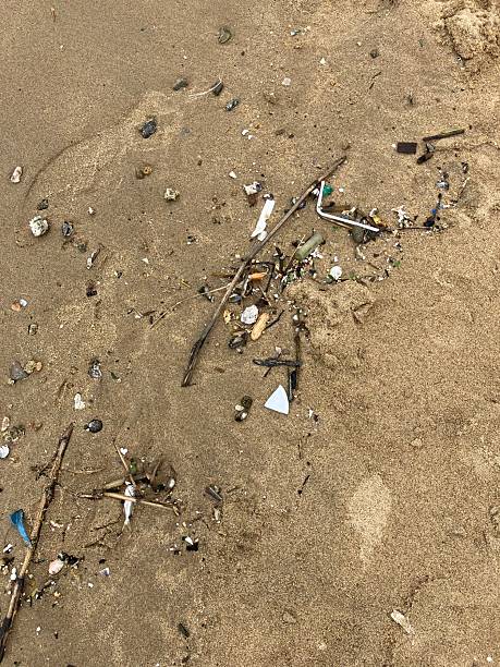 istock sandy beach littered with plastic and natural debris 2251073915