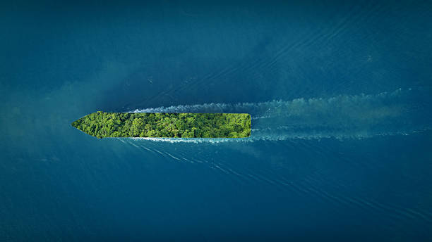 istock Container cargo ship green Leave Supply Chain green Sustainability. Reduce co2 carbon goals low emission net zero pollution regulations. renewable diesel carbon taxes smart freight catalytic fuel artificial intelligence tacking business. International Mar 2251075081